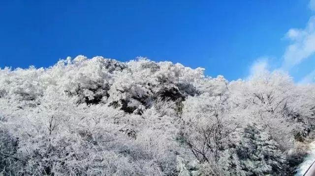 星界边境