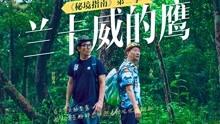 防护服燃烧假人测试装置 性能稳定