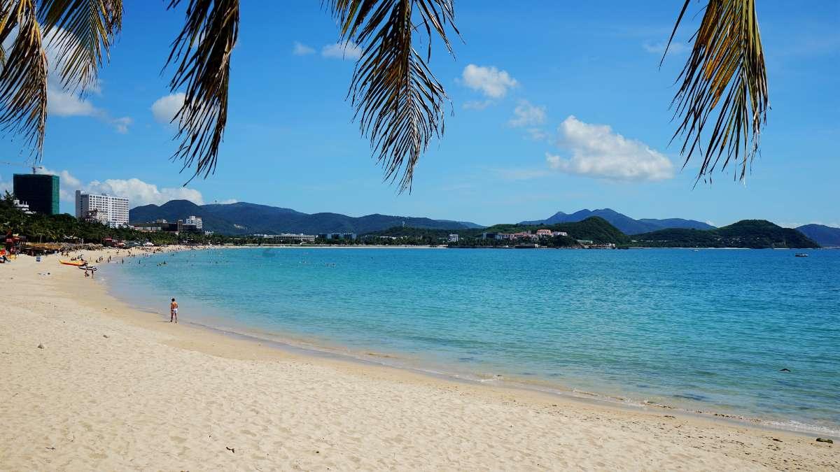 太逗了！妈妈把家里养了2年多的狗打包成嫁妆做陪嫁