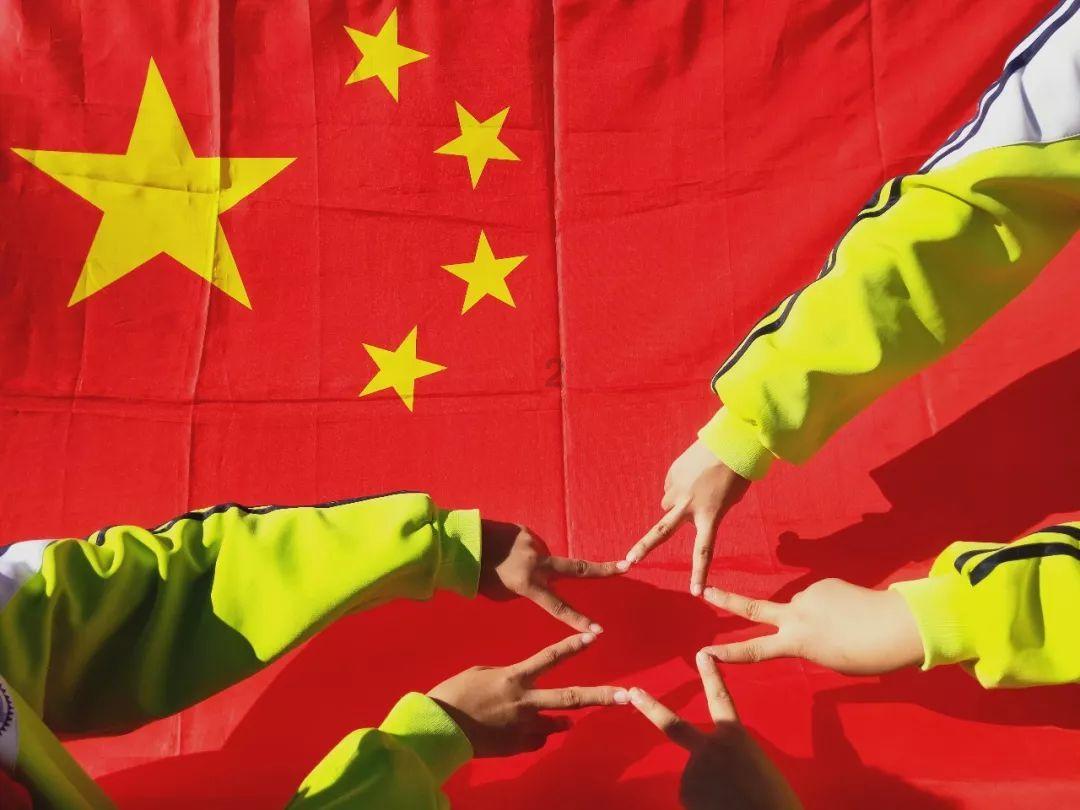 救援呆萌的猫